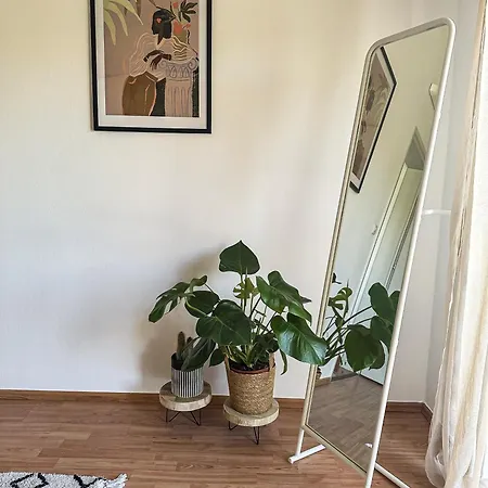 Apartament Dent *
