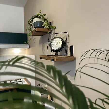 Dent Apartment *