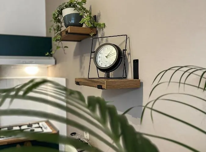 Dent Apartment *