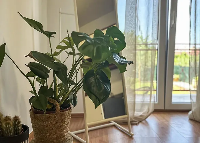 Apartment Dent *